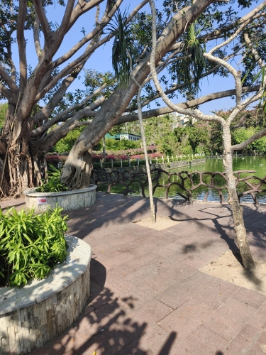 【2026】三亚崖州湾真正海边公寓(创业街分店)游玩全攻略——门票、交通、住宿一文搞定
