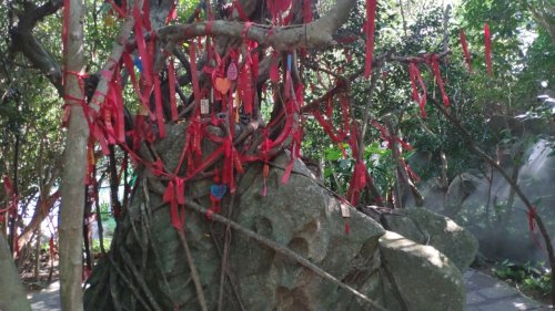 蜈支洲岛旅游风景区-护心石