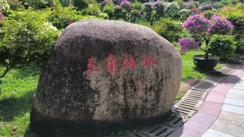 三亚自由行攻略：从三亚小雨点宾馆出发的经典路线（2026）