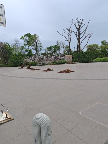 海棠生态河公园