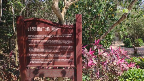 2026三亚旅游攻略：博文公寓住宿全指南——交通、周边、入住建议