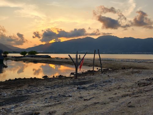 三亚南山树屋隐世民宿全方位解析：三亚旅游深度攻略