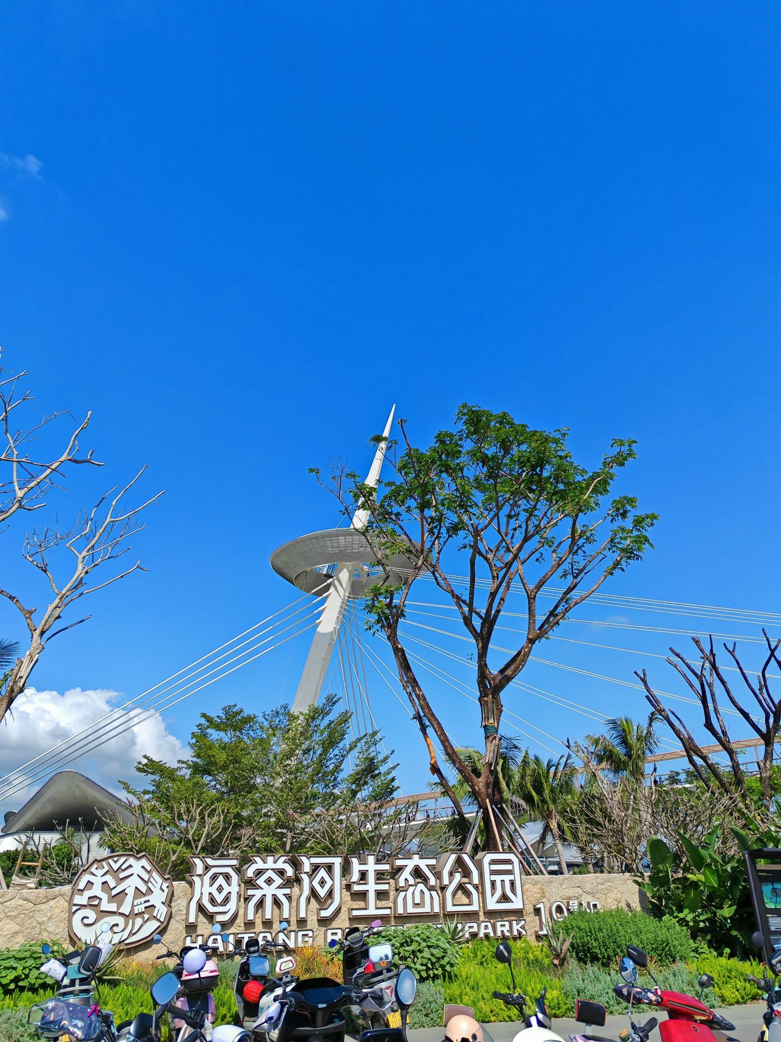 船坞乐园