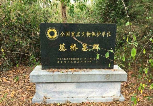 藤桥古墓群(不对外开放)