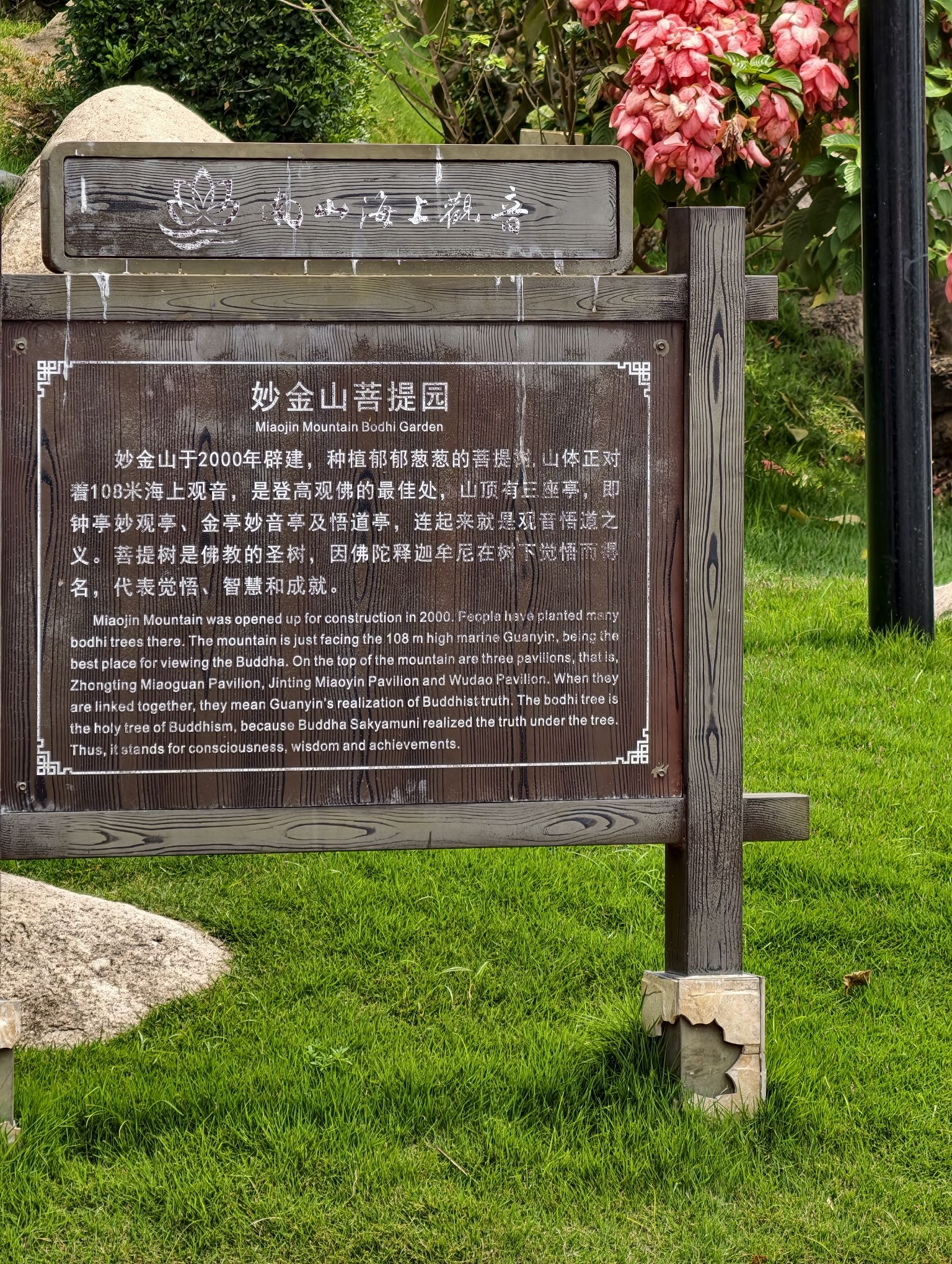 探秘儋州鑫金穗商务宾馆——儋州最值得打卡的住宿目的地