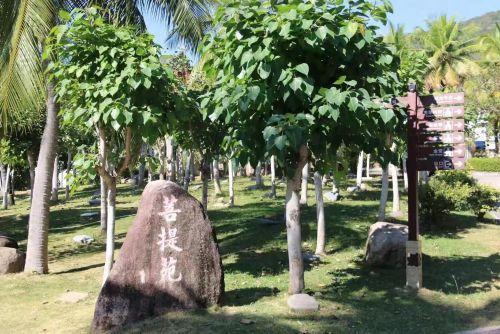 儋州鑫金穗商务宾馆攻略：儋州必去景点与旅行贴士