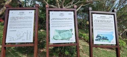 2026儋州旅游攻略：途豆美宿品牌连锁店公寓(海花二路分店)全方位解析