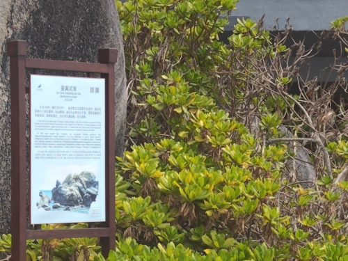 儋州自由行攻略：从儋州凯信商务宾馆出发的经典路线