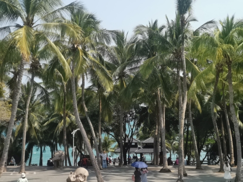 儋州海之梦商务宾馆攻略：儋州必去景点与旅行贴士