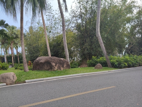 南山文化旅游区-空海像