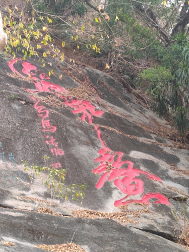 南山大小洞天旅游区-魁星石刻