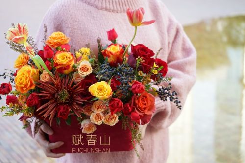半山黑马