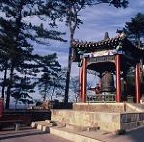 来儋州别只知道打卡——儋州新诚宾馆的宝藏玩法