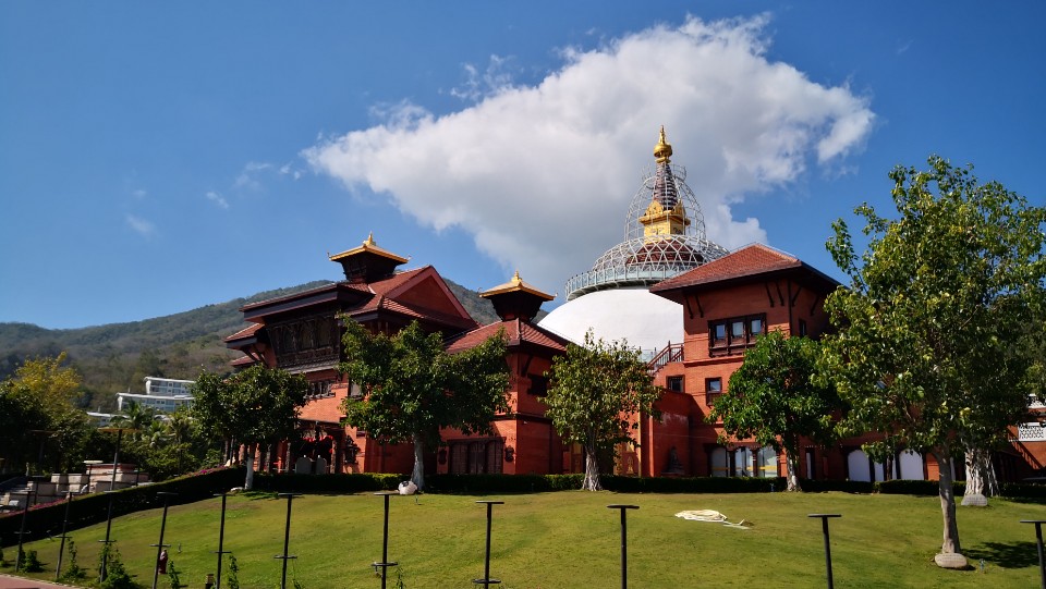 南山文化旅游区-三法印树