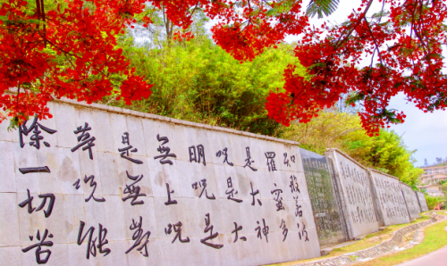 来儋州别只知道打卡——儋州暖庭酒店(白马井店)的宝藏玩法