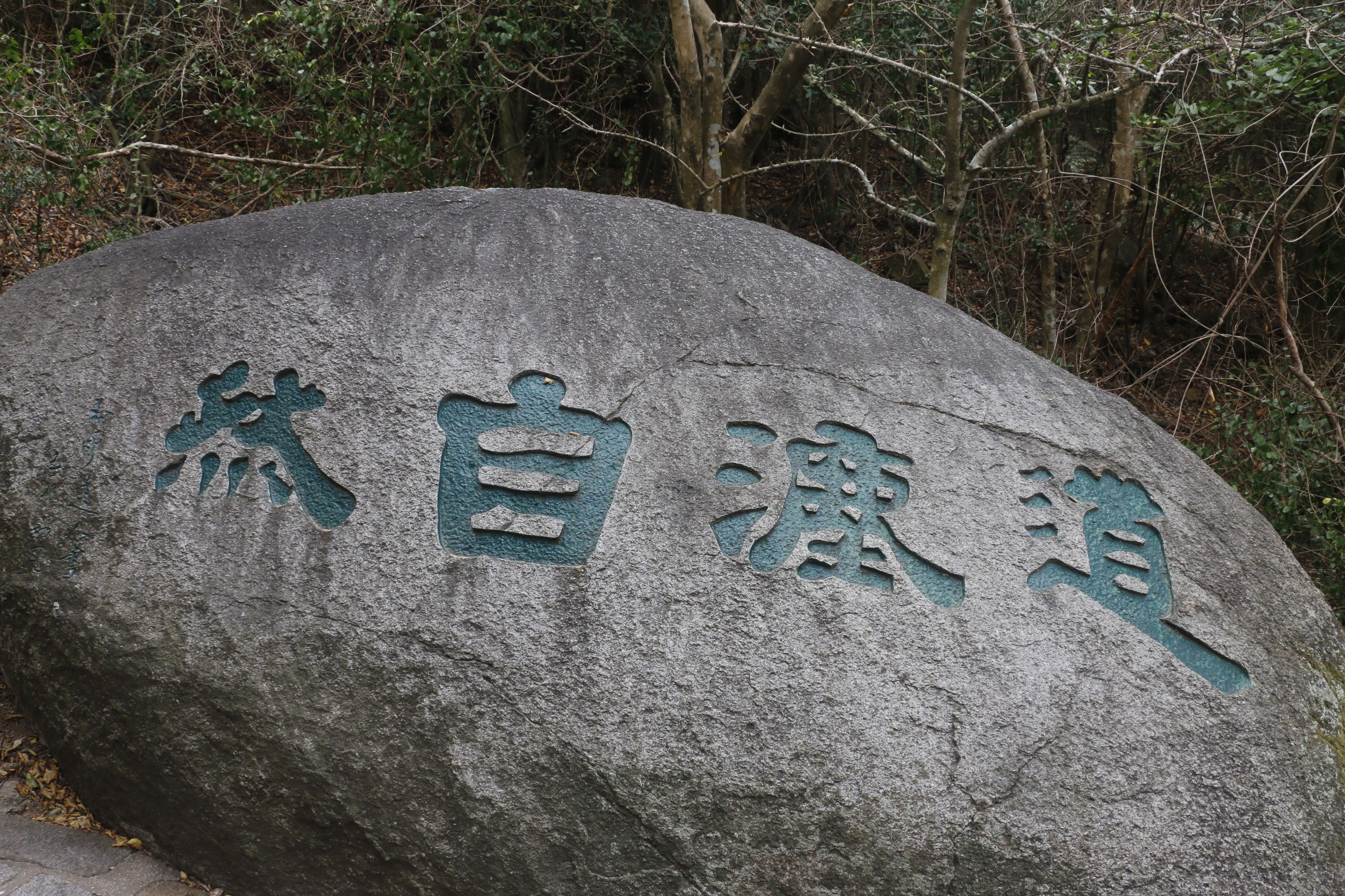 道法自然