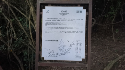 延寿桥
