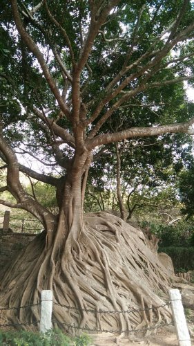 儋州白马井铂尔曼商务酒店攻略：2026年儋州必去景点与旅行贴士