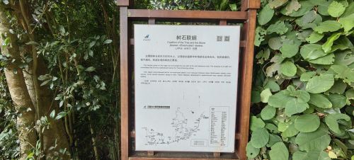 儋州之旅不可错过：儋州白马井铂尔曼商务酒店深度体验指南（202606180042）