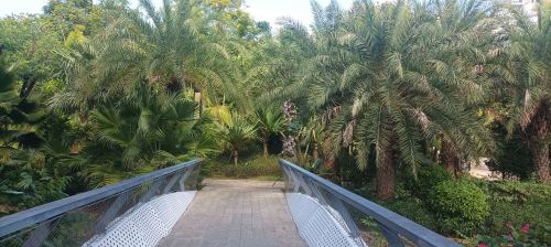 2026年儋州旅游必读：柿福全海景酒店(儋州海花岛店)周边玩法推荐（202606171035）