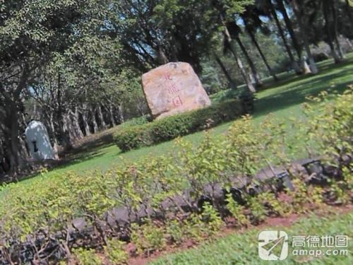 来海口别只知道打卡——九号艺术酒店(海口万达店)的宝藏玩法（2026版）