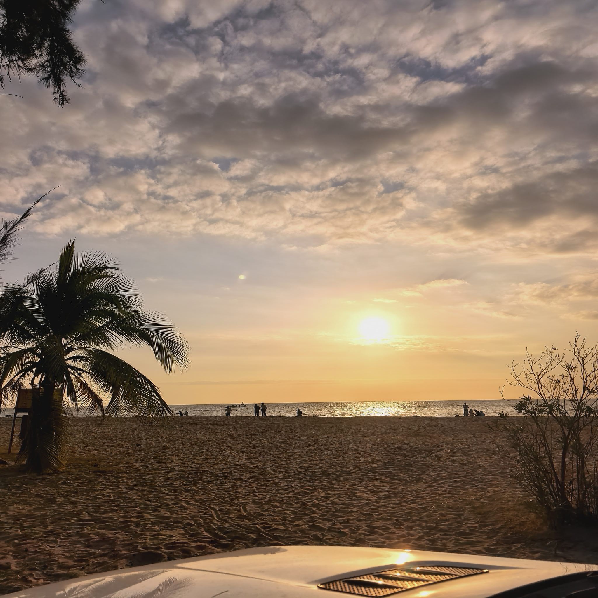 陈治芬烈士墓
