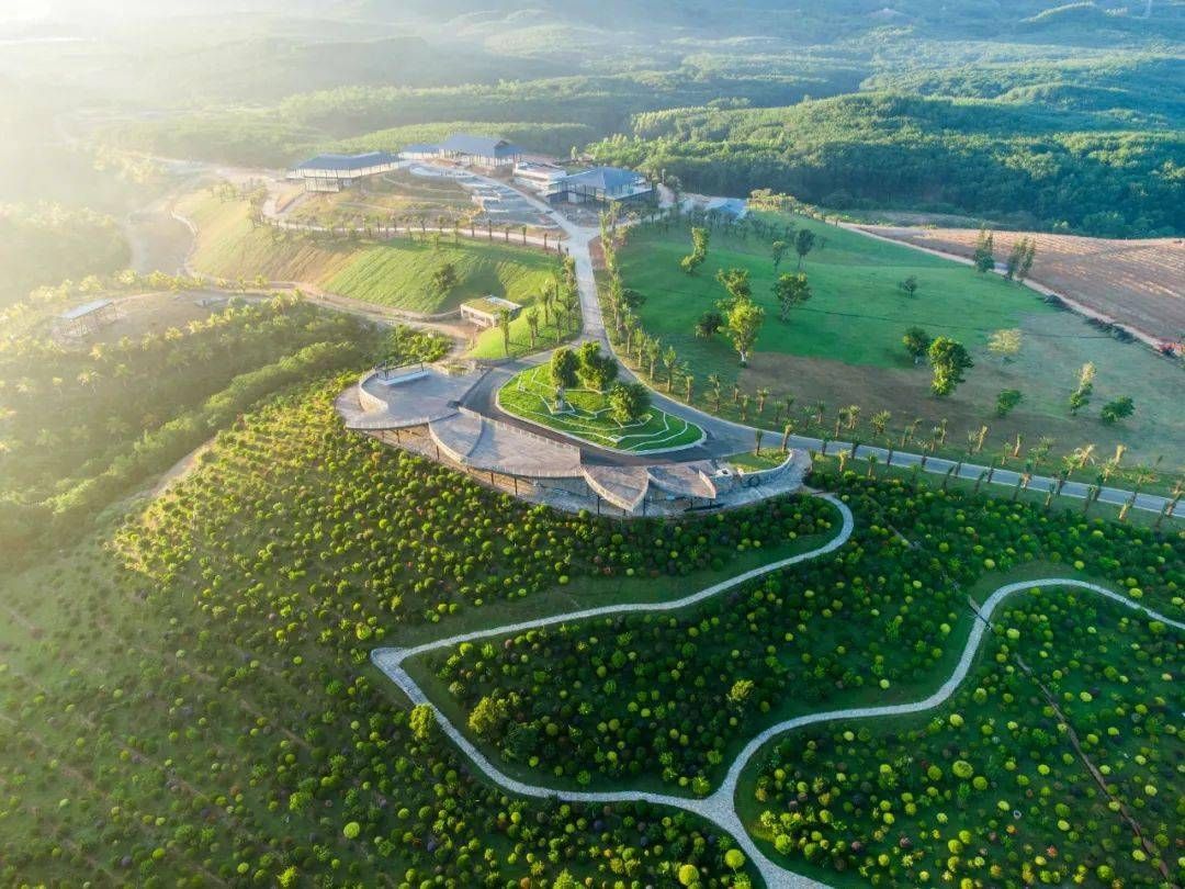 林语雅居公寓(理文路4号分店)全方位解析：五指山旅游深度攻略