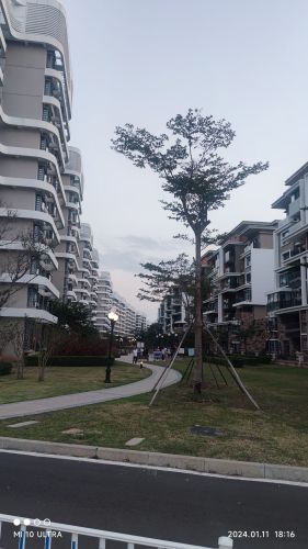 金马商务宾馆全方位解析：2026年五指山旅游深度攻略