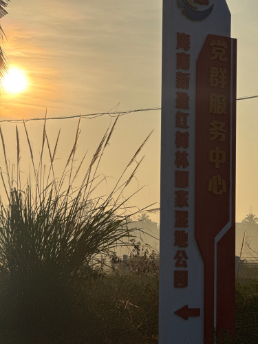 五指山黎峒风情民宿酒店游玩全攻略——2026年五指山旅游必看