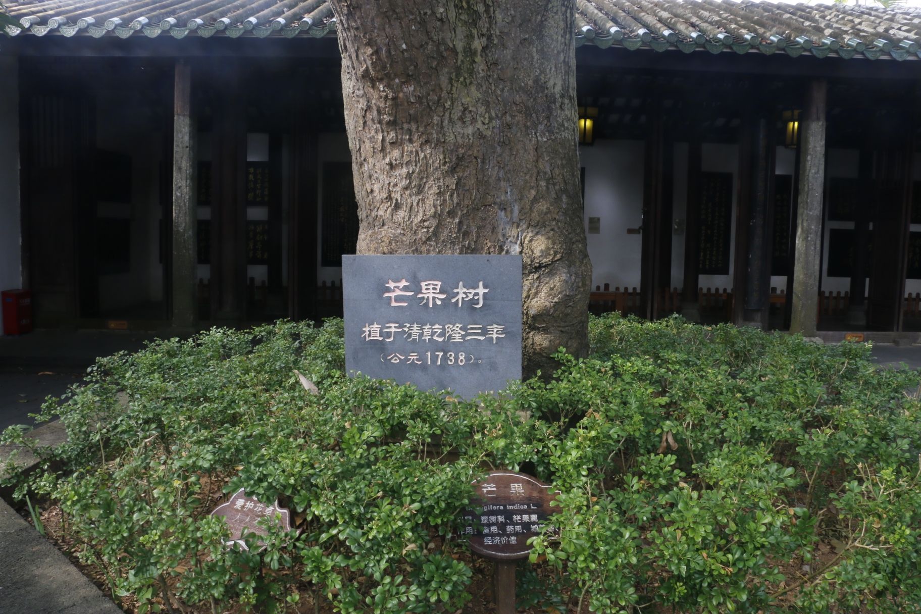 来五指山别只知道打卡——五指山旭丰旅居会所的宝藏玩法