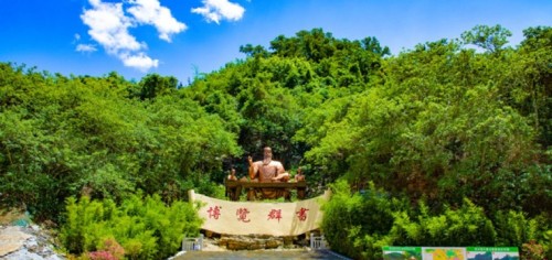 莲花山神木