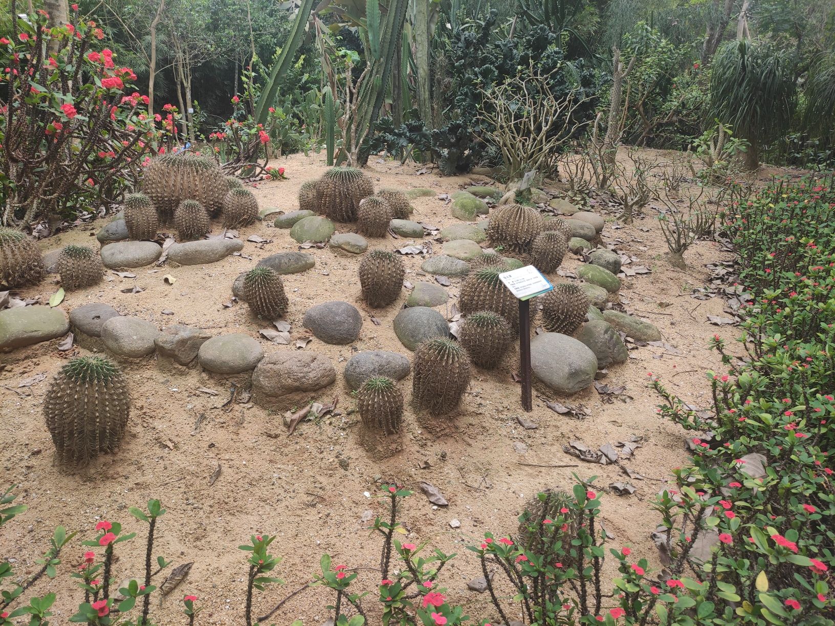 海南医科大学(城西校区)-中草药植物园