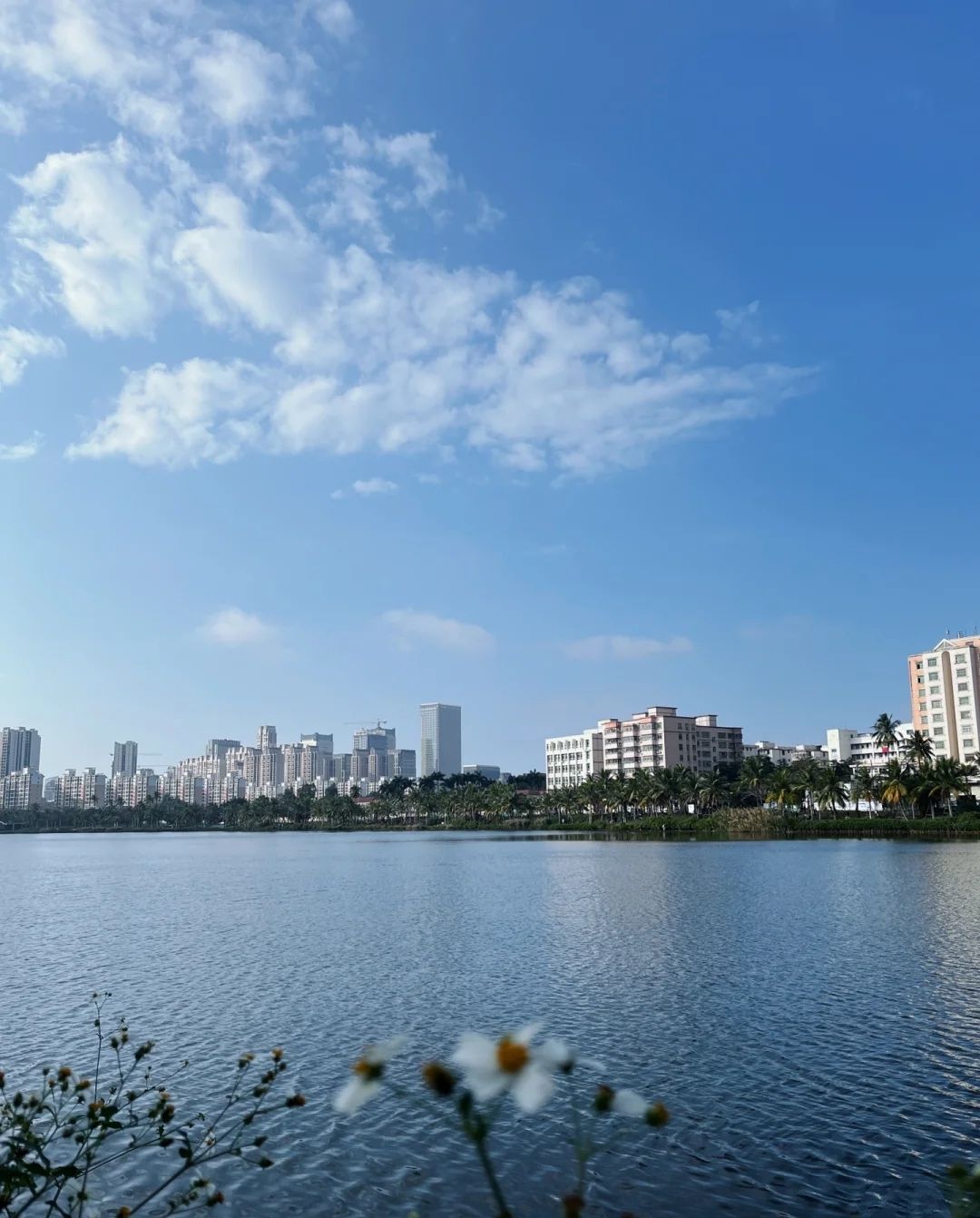 海口自由行攻略：从海南龙泉大院花园酒店(明珠广场店)出发的经典路线（202606181255）