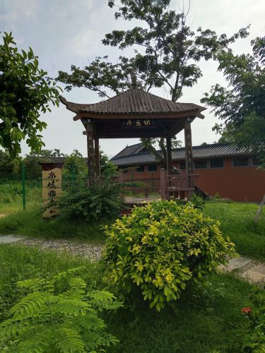 五指山国金大酒店大堂到底值不值得去？2026五指山旅行体验报告