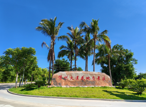 琼海之旅不可错过：博鳌榕夏青年旅舍(琼海大榕树店)深度体验指南