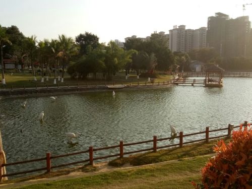 儋州市城西公园