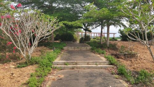 来琼海别只知道打卡——琼海雅靓旅馆的宝藏玩法