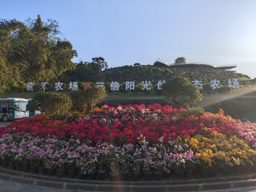 探秘琼海博鳌畔海栖岸民宿——琼海最值得打卡的目的地