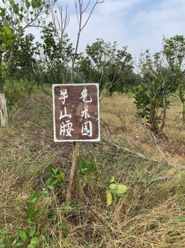 半山腰艺术园