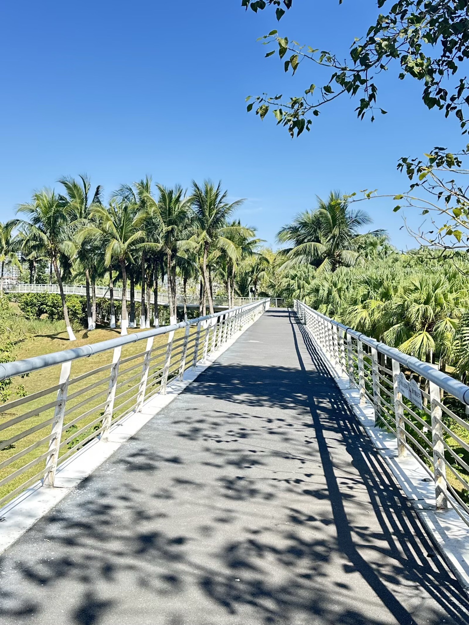 探秘君逸酒店(琼海银海路店)——琼海最值得打卡的目的地