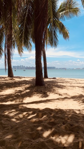 来琼海别只知道打卡——博鳌新华家园康养度假公寓的宝藏玩法
