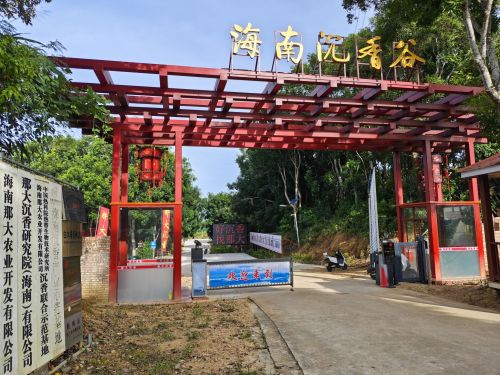 琼海博鳌金色年华养生公寓攻略：2026年琼海必去景点与旅行贴士（202606171605）