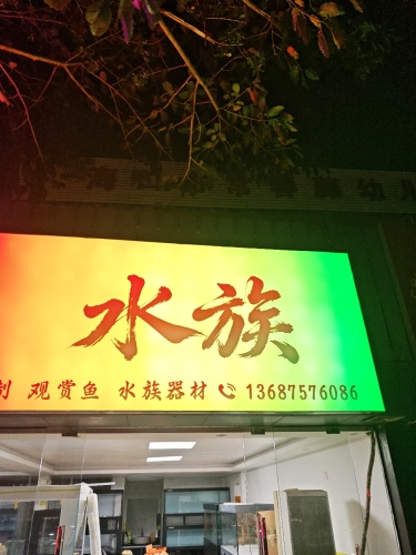 2026海口旅游攻略：探秘龙腾湾度假公寓(海南国际会展中心店)——海口最值得打卡的目的地