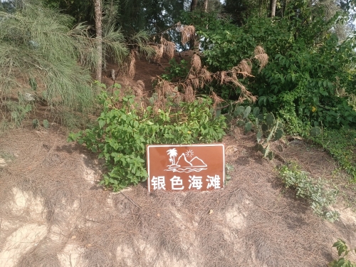 银色海滩