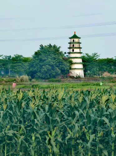 琼海亮点海景公寓(琼海博鳌博鳌湾店)攻略：琼海必去景点与旅行贴士