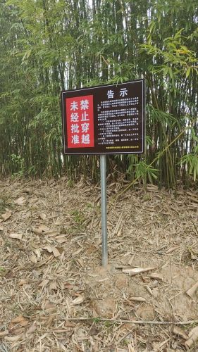 琼海潭门观海楼宾馆全方位解析：2026年琼海旅游深度攻略