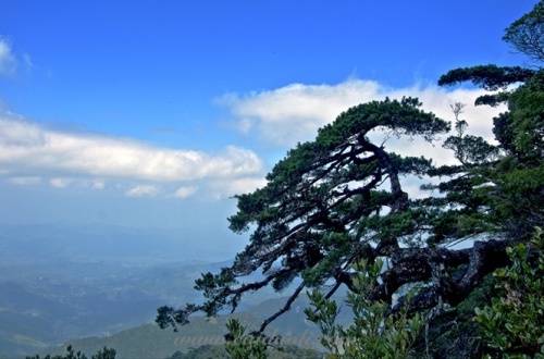 五指山水满河热带雨林风景区