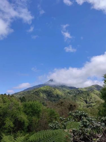来琼海别只知道打卡——季墅度假酒店(博鳌机场高铁站店)的宝藏玩法