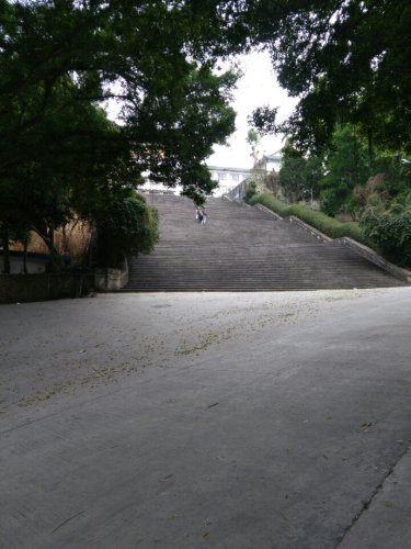 琼海之旅不可错过：海南博鳌椰风海岸度假酒店深度体验指南