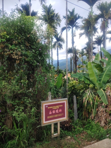 琼海自由行攻略：从加脑苗寨山悦山民宿出发的经典路线